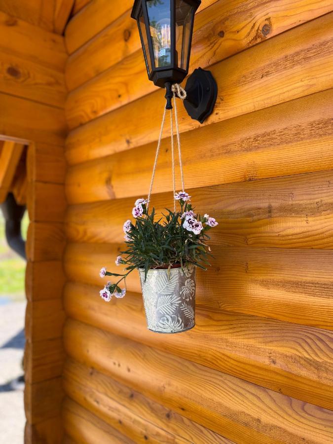 Вилла Brvnare Madera Banja Ждрело Экстерьер фото